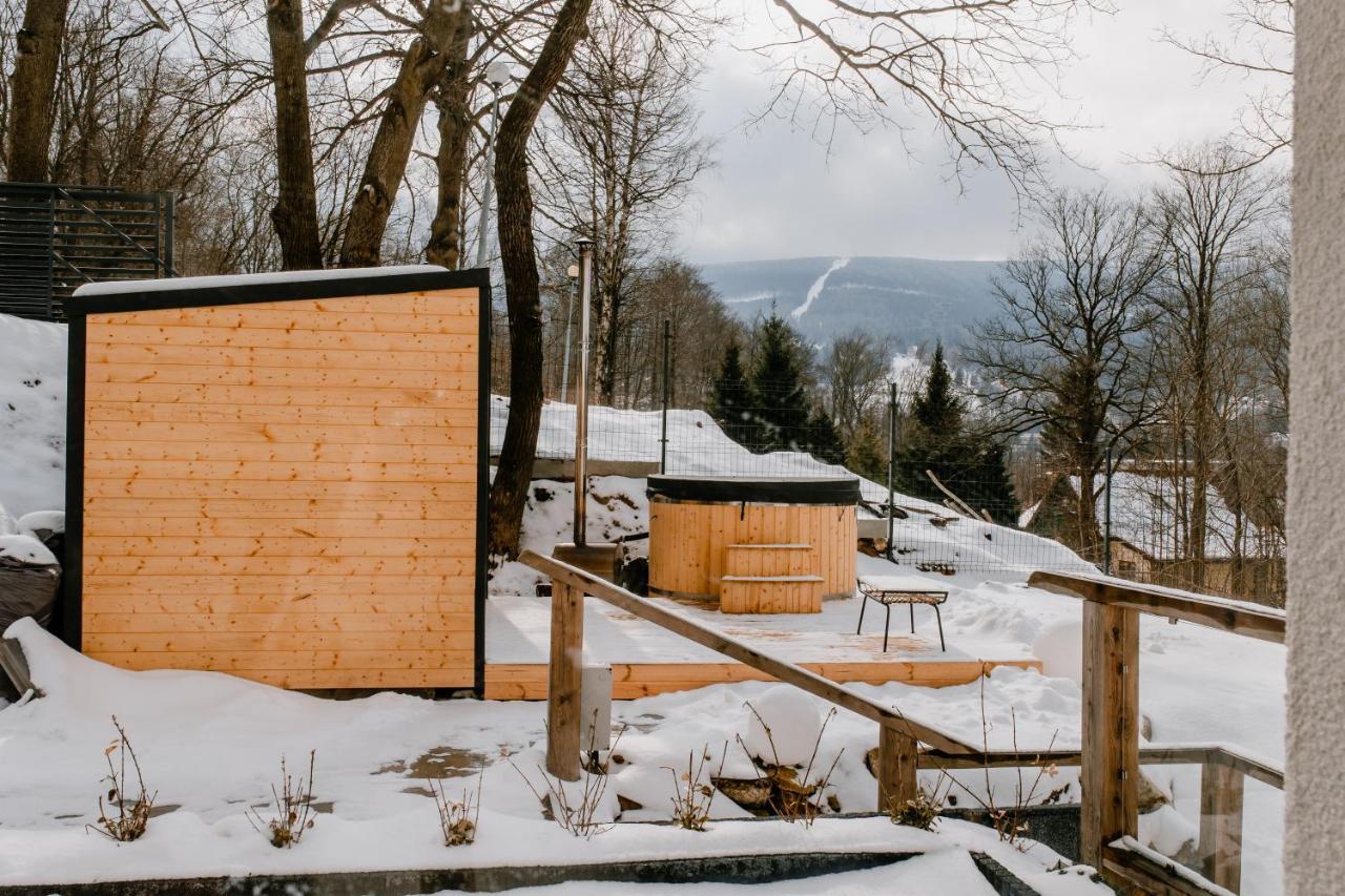 Apartamenty Larice - Podgrzewany Basen, Balia I Sauna Swieradow-Zdroj Exterior photo